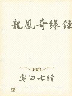 龙凤奇缘录