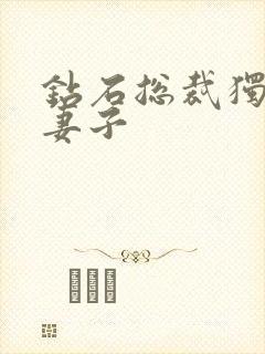 钻石总裁独宠小妻子