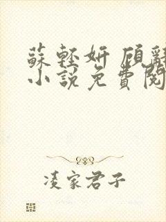 苏轻妍 顾辞笙小说免费阅读