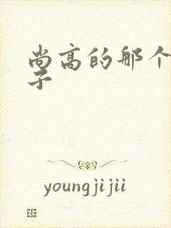 尚高的那个臭小子