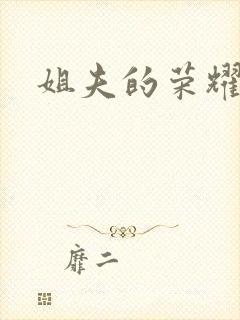 姐夫的荣耀全集