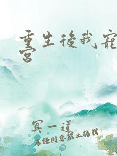 重生后我宠冠东宫