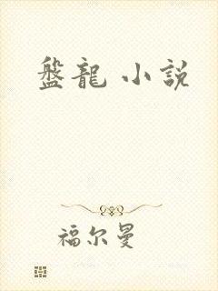 盘龙 小说