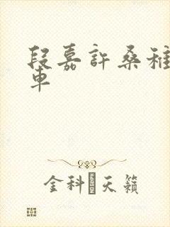 段嘉许桑稚浴室车