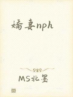 娇妻nph