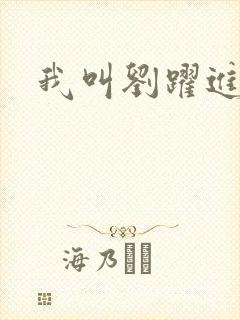 我叫刘跃进下载