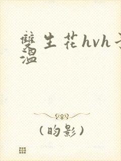 双生花hvh予温