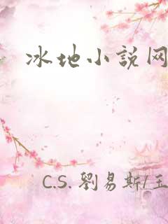 冰地小说网