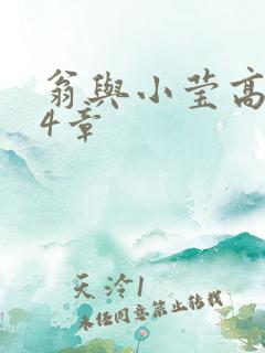 翁与小莹高潮24章