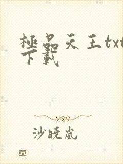 极品天王txt下载