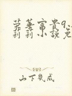 荣华富贵9小王莉莉小说免费阅读