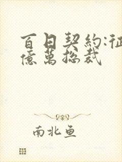 百日契约:征服亿万总裁