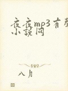 夜夜mp3有声小说网