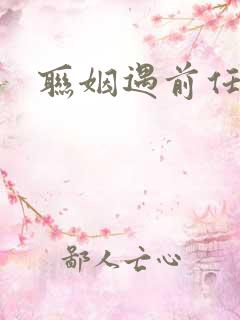 联姻遇前任小说