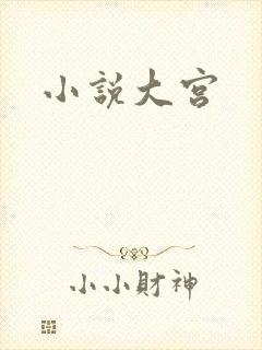小说大宫