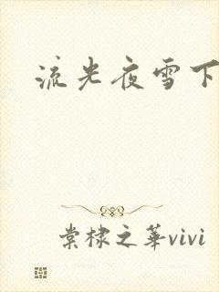 流光夜雪下载