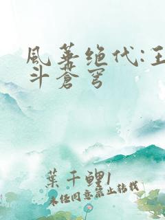 风华绝代:王妃斗苍穹