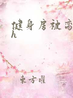 健身房被脔日常h