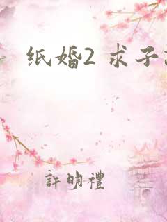纸婚2 求子记