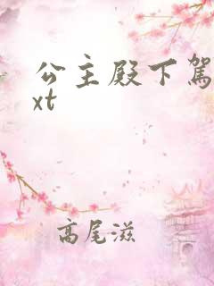 公主殿下驾到txt