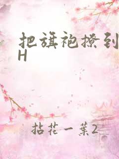 把旗袍撩到腰上H