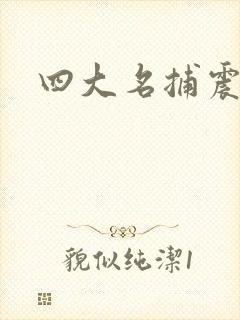 四大名捕震关东