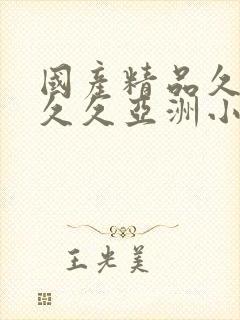 国产精品久久久久久亚洲小说