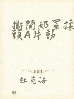 撕开奶罩揉吮奶头A片动