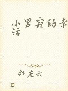 小男宠的幸福生活