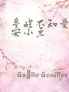 梦醒不知爱欢凉安小免