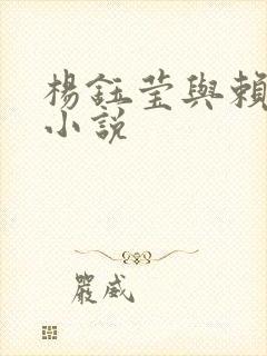 杨钰莹与赖昌星小说