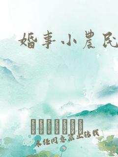 婚事小农民