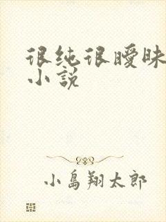 很纯很暧昧有声小说