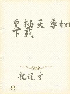 皇极天尊txt下载