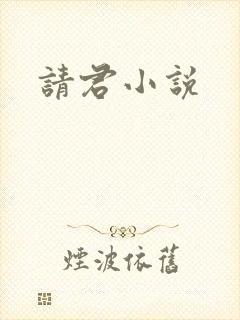 请君小说