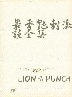 最香艳刺激的小说全集