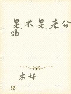 是不是老公的小sb