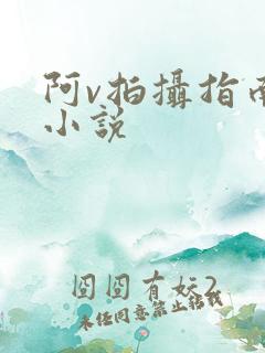 阿v拍摄指南说小说