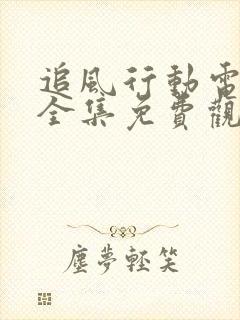 追风行动电视剧全集免费观看