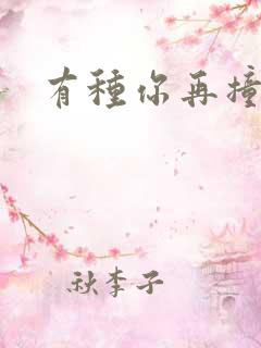 有种你再撞一下