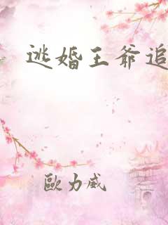 逃婚王爷追逃妃