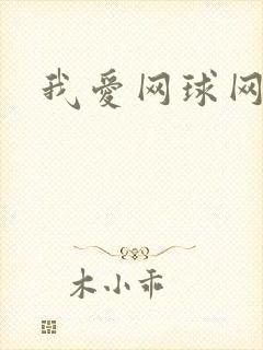 我爱网球网