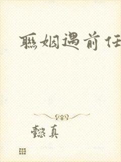 联姻遇前任小说