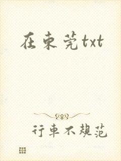 在东莞txt
