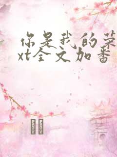 你是我的荣耀txt全文加番外