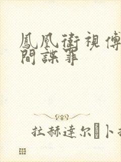 凤凰卫视傅晓甜间谍罪