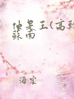 他是王(高干)苏南