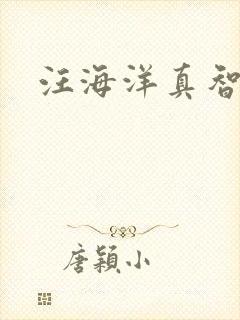 汪海洋真智师太