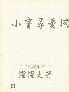 小宝寻爱网址
