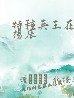 特种兵王在都市杨辰